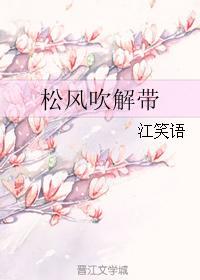 松风吹解带封面