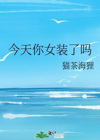 今天你女装了吗封面
