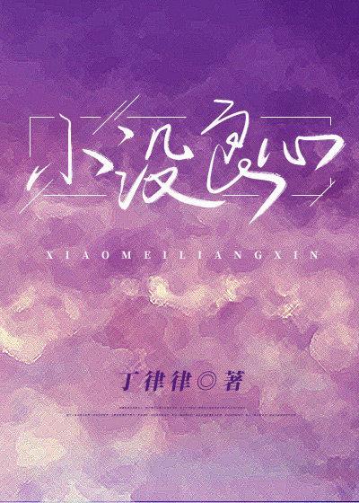 小没良心封面
