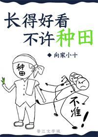 长得好看不许种田封面
