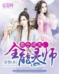 妻手遮天封面