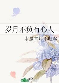 岁月不负有心人封面