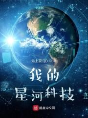 我的星河科技封面