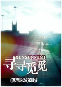 寻寻觅觅封面