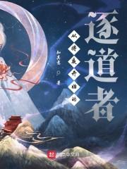 从将夜开始的逐道者封面