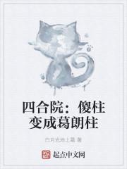 四合院：傻柱变成葛朗柱封面