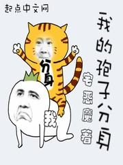 我的孢子分身封面