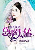 惹爱成婚：总裁别太猛封面