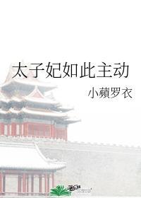 太子妃如此主动封面
