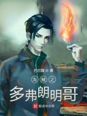 海贼之多弗朗明哥封面