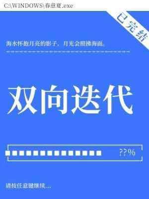 双向迭代封面