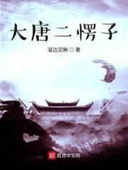 大唐二愣子封面