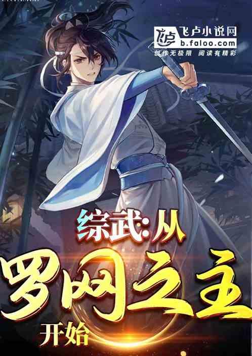综武：从罗网之主开始封面