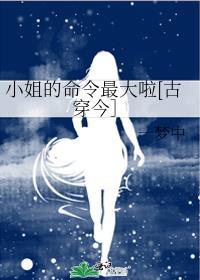 小姐的命令最大啦[古穿今］封面