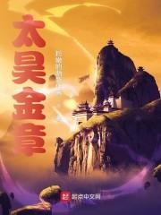 太昊金章封面