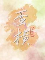 蛮横封面