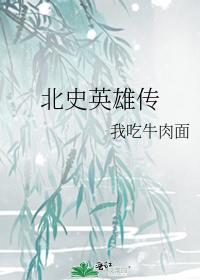北史英雄传封面