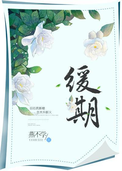 缓期封面