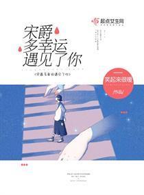 宋爵多幸运遇见了你封面