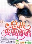 总裁，我要离婚封面