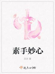 素手妙心封面