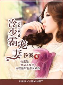 冷少霸宠妻封面