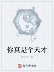 你真是个天才封面