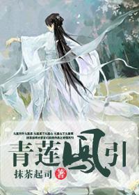 青莲凤引封面
