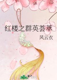 红楼之群英荟萃封面