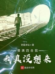 情满四合院我真没想来封面