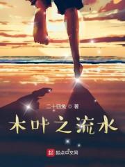 木叶之流水封面
