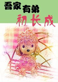 吾家有弟初长成封面