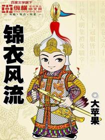 锦衣风流封面