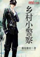 乡村小警察封面