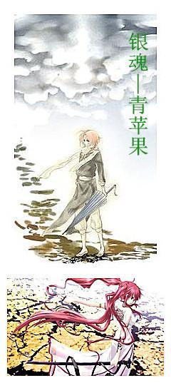 青苹果封面