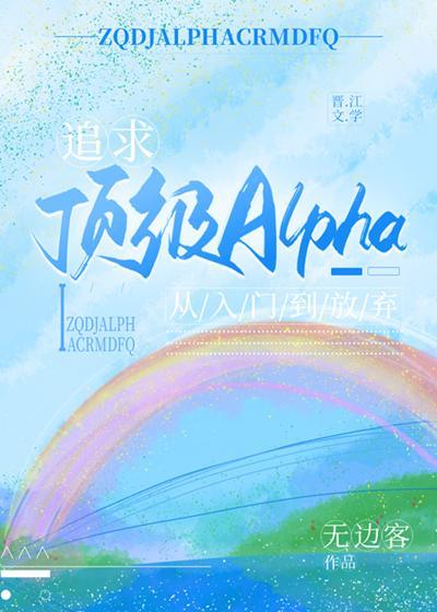 追求顶级Alpha，从入门到放弃封面