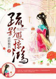 疏影照惊鸿封面