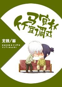 竹马镶青梅封面