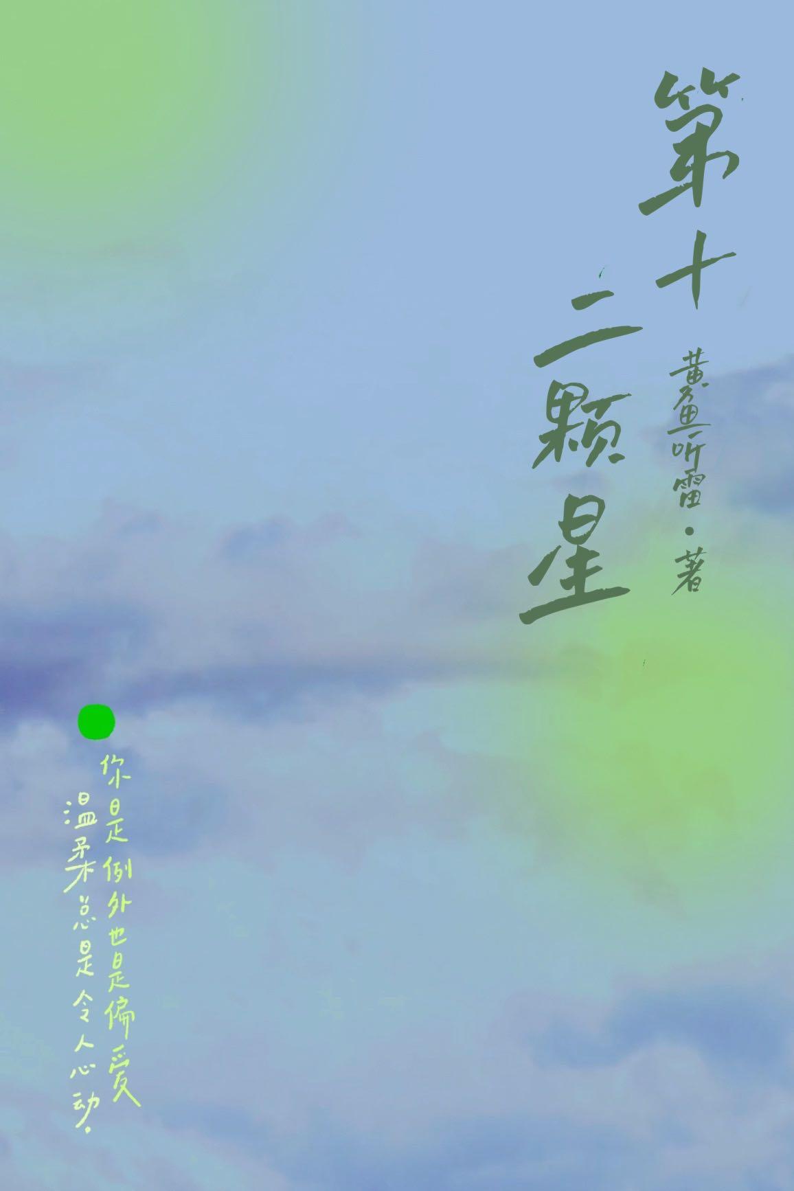第十二颗星封面