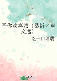 予你欢喜城（桑祈×卓文远）封面