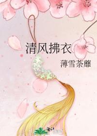 清风拂衣封面