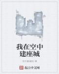 我在空中建座城封面