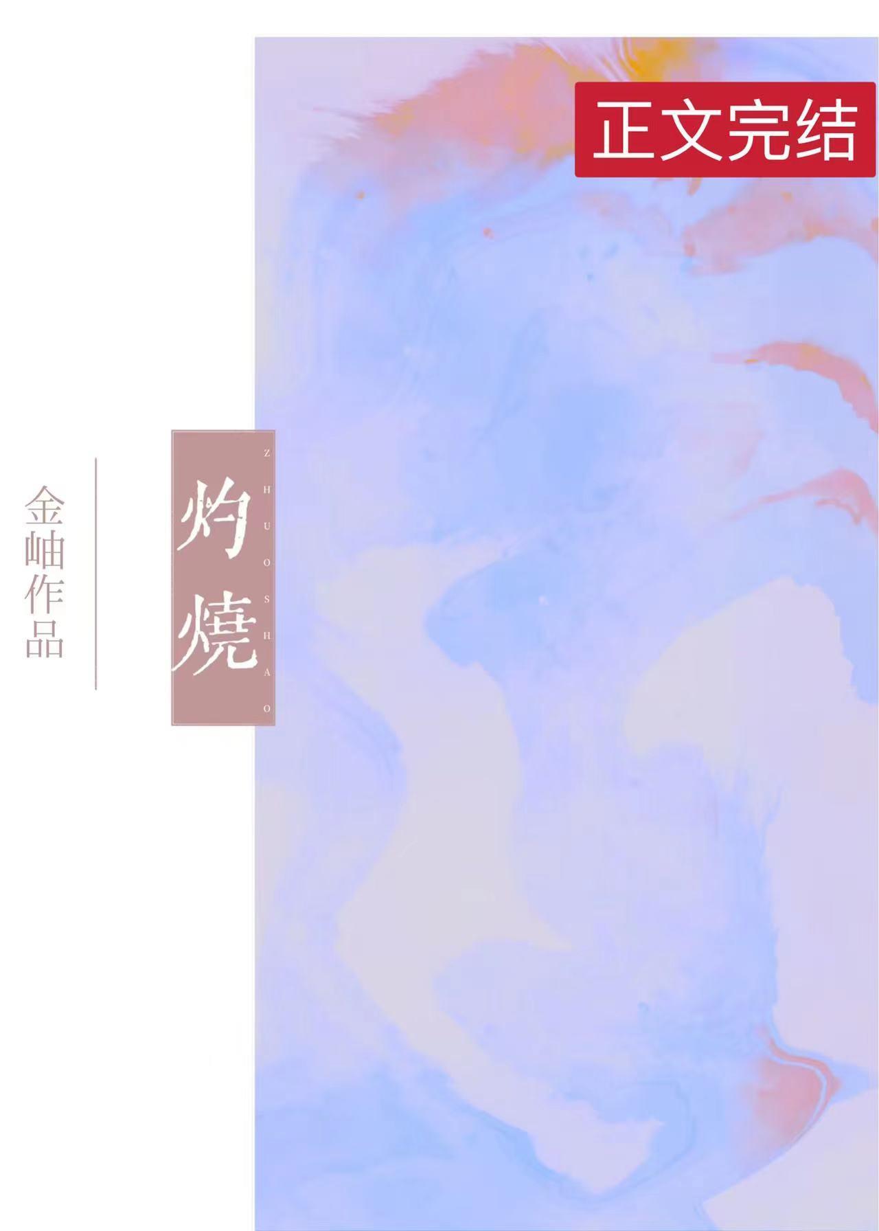 灼烧封面