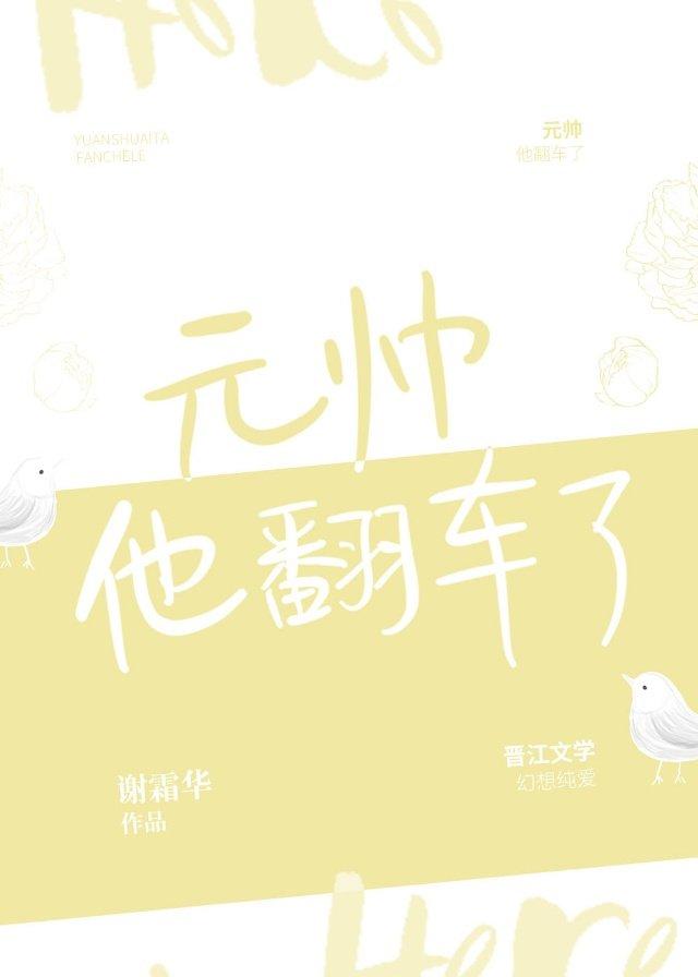 元帅他翻车了封面