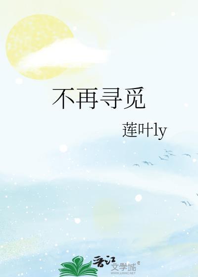 不再寻觅封面