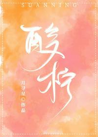 酸柠封面