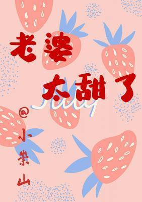 老婆太甜了封面