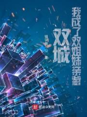双城：我成了双姐妹亲爹封面
