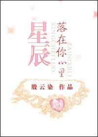 星辉落在你心上封面