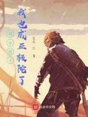 假面骑士：我也成亚极陀了封面